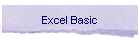 Excel Basic